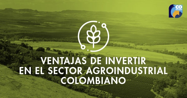 Ventajas de invertir en sector agroindustrial en Colombia