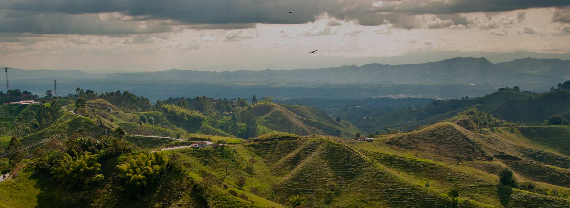 Agroindustria Paisaje agro en Colombia