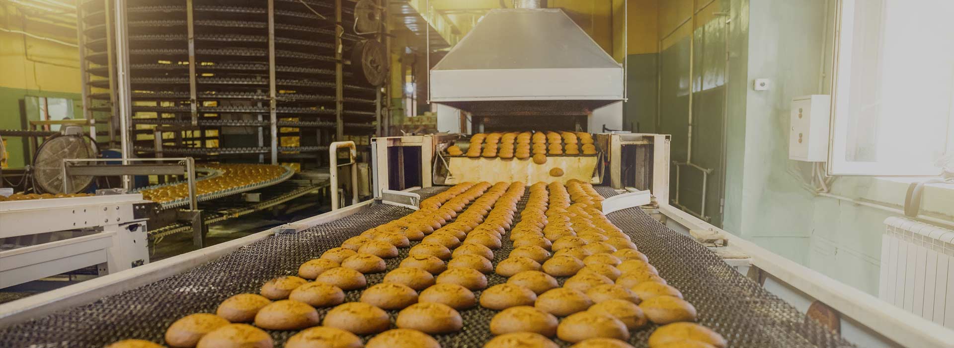 Alimentos procesados Alimentos procesados
