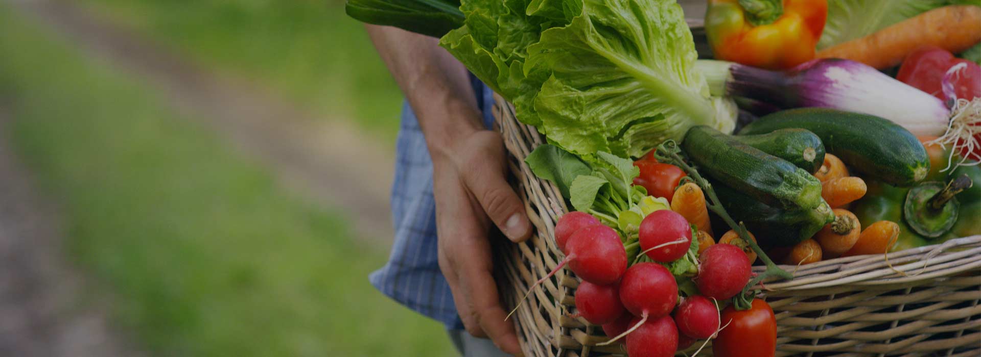 Fruits and vegetables Vegetables