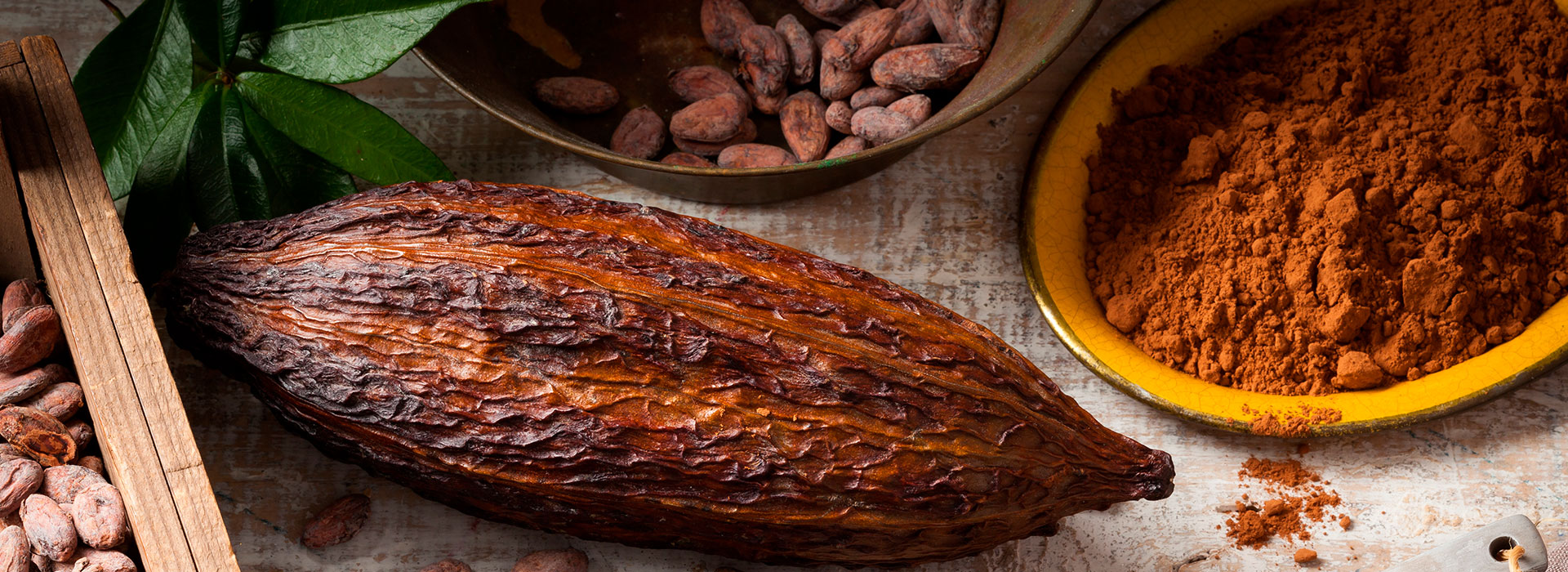 Cacao y derivados Cacao y derivados