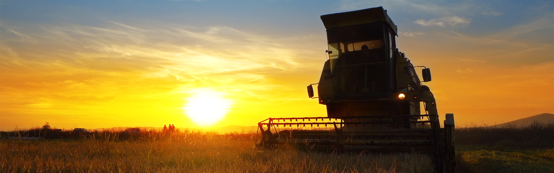 Beneficio tributario para inversiones que aumenten la productividad del sector agro