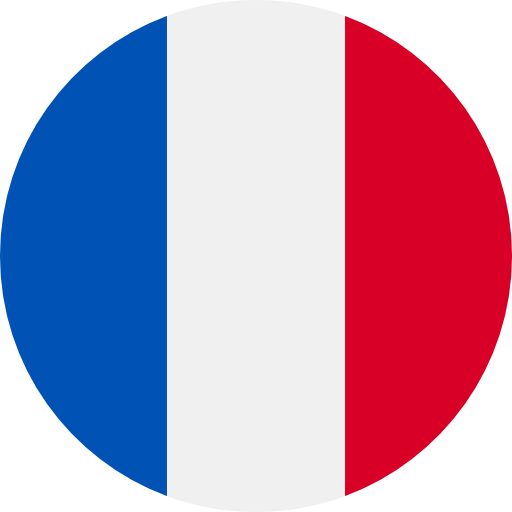 Icono bandera Francia