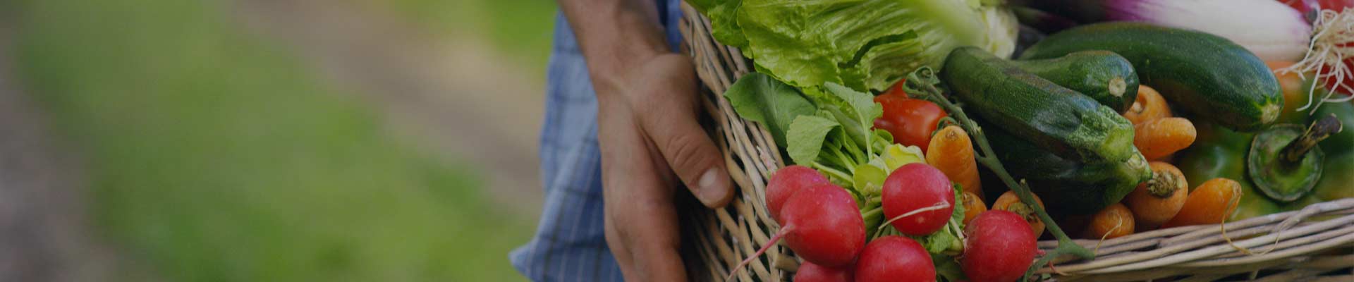 Fruits and vegetables Fruits and vegetables