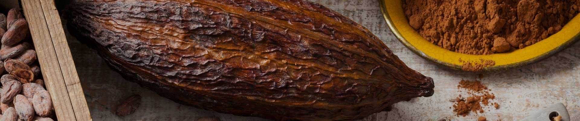 Cacao y derivados Cacao y derivados