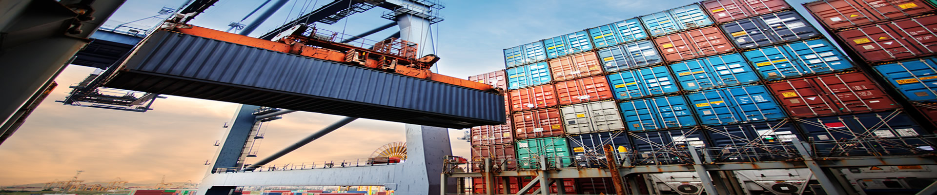 logistic