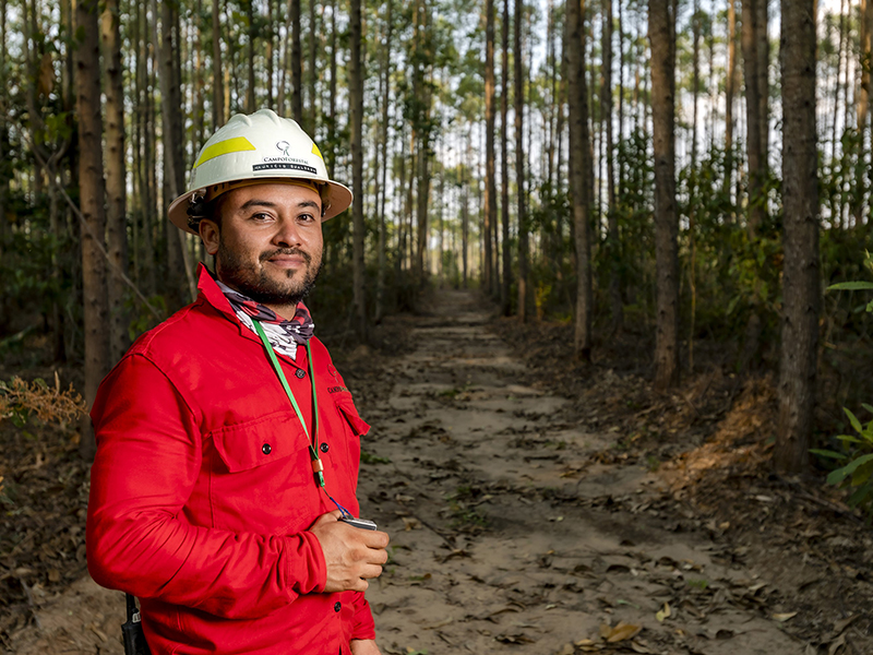 Reforestadora Cumare SAS San martín, Meta