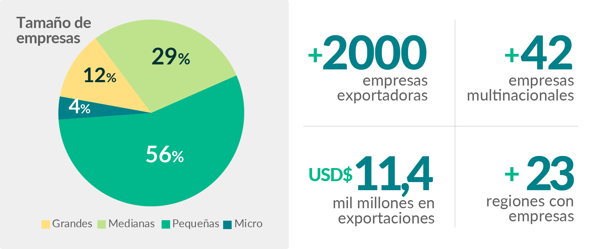Infografía de alimentos procesados / Processed food infographic