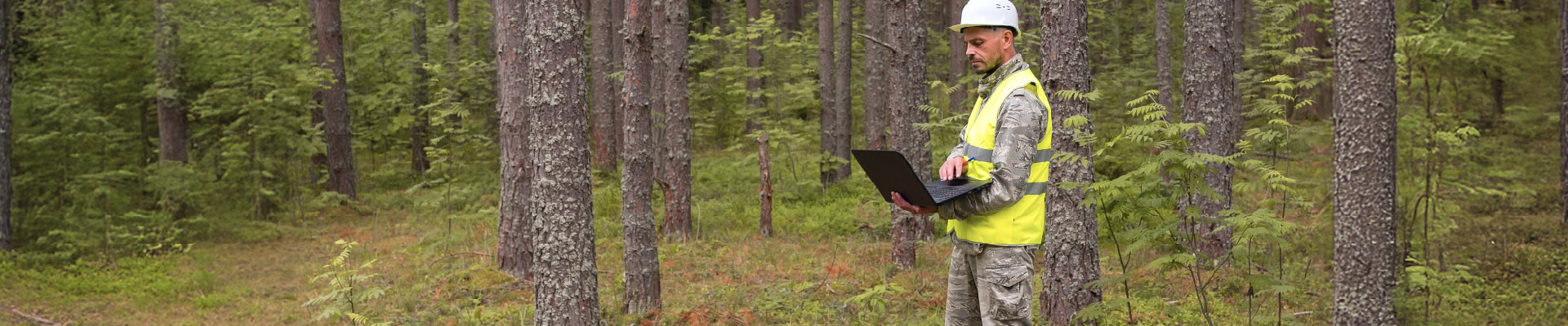 Worker doing a forestry valuation Worker doing a forestry valuation