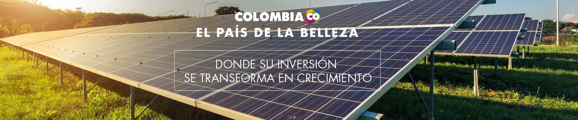 nuevas herramientas