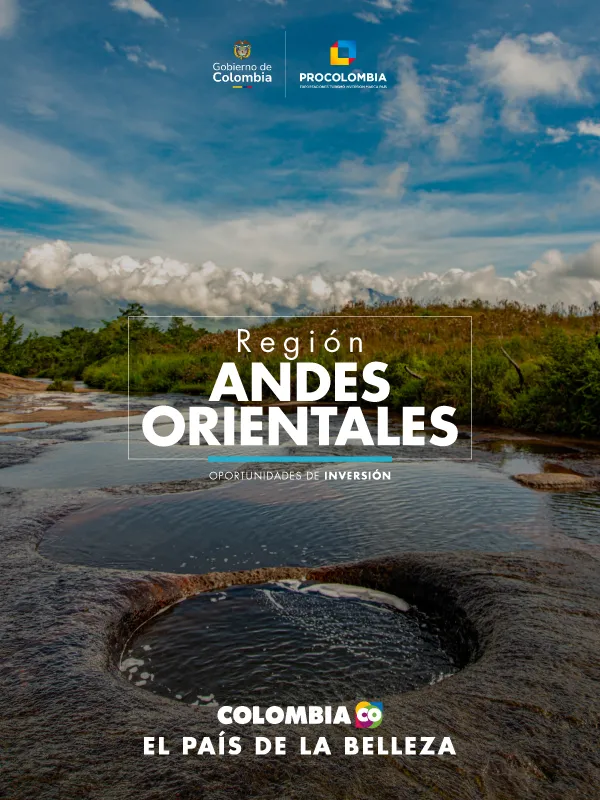 Andes Orientales