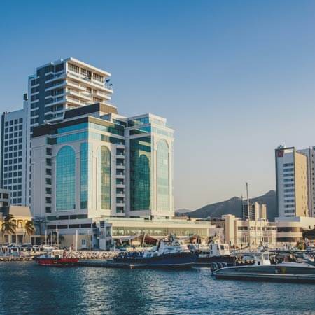 Sector Inmobiliario