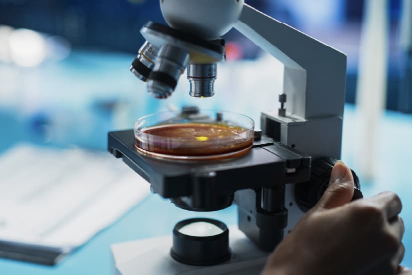 Researching of biotechnology trends