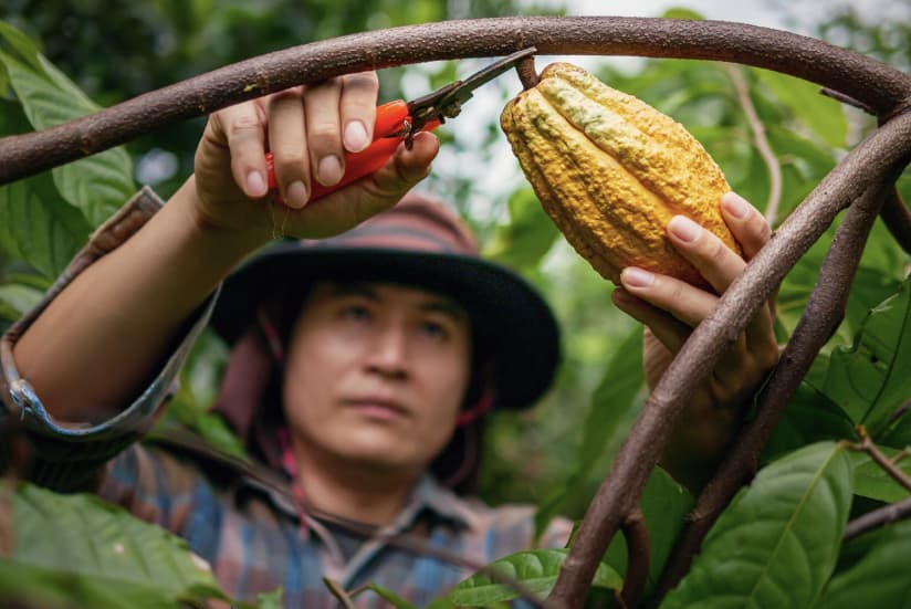 Carbon creditrural development Colombia