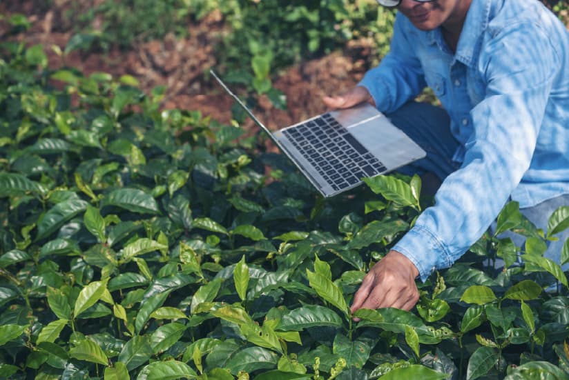 Plants study for biotechnology market growth
