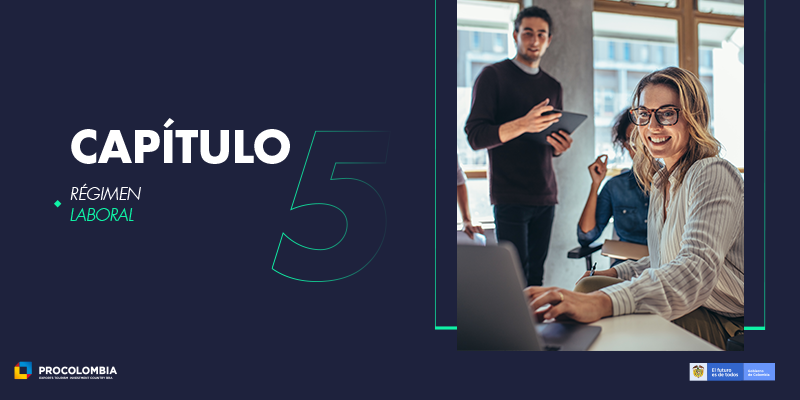 Guía Legal 5 Régimen laboral.