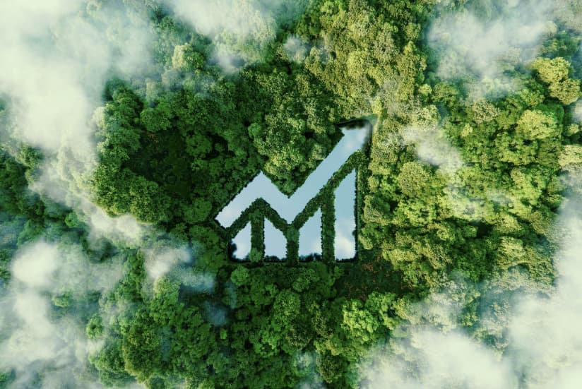 symbol of a green economy in the forest