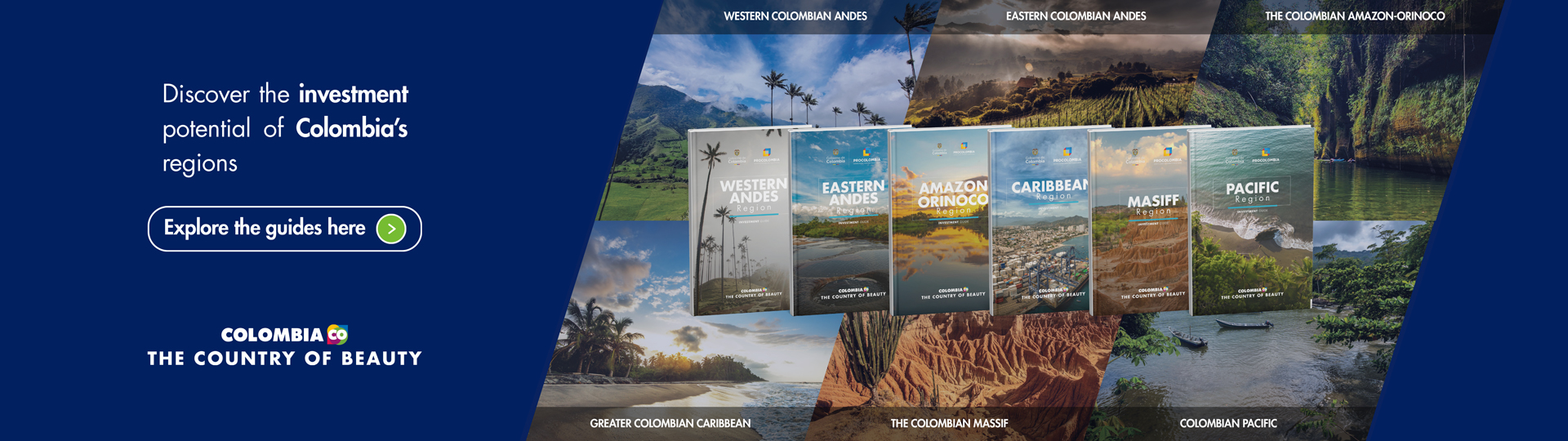 Covers of brochures for macro-regions featuring promotional text about investment