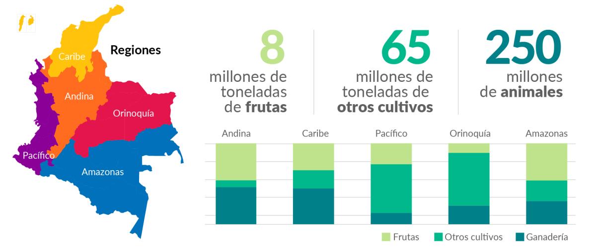 Infografía de frutas y verduras