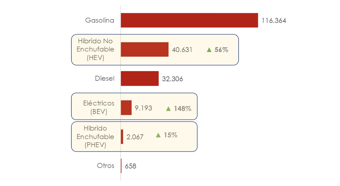 Gráfico ventas de vehículos por tipo de combustible 2024