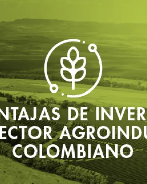 Ventajas de invertir en sector agroindustrial en Colombia