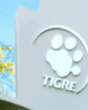 Tigre, a multinacional brasileira que exporta desde Colômbia, ampliará sua planta de produção
