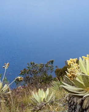 Investment opportunities in Colombia: Andean Region.