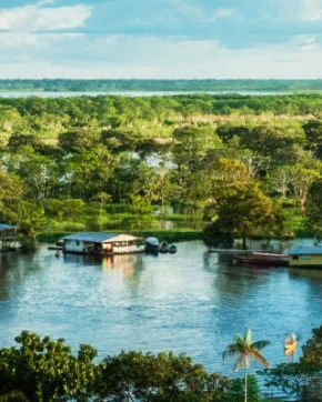 River in the Amazonas