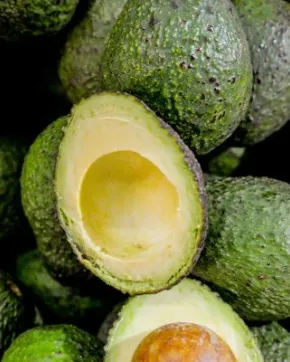 La empresa que sembrará 60 mil árboles de aguacate hass en Colombia en el 2019