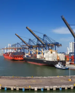 REIP, la estrategia que busca fortalecer las exportaciones e incentivar la inversión extranjera en las regiones de Colombia
