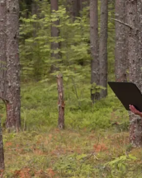 Worker doing a forestry valuation