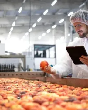 Worker doing a processed food product.