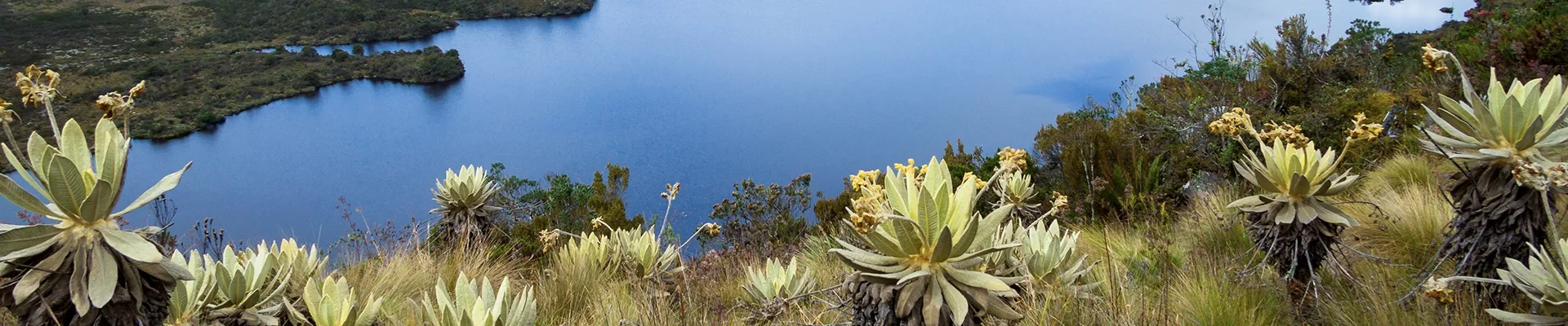 Investment opportunities in Colombia: Andean Region.