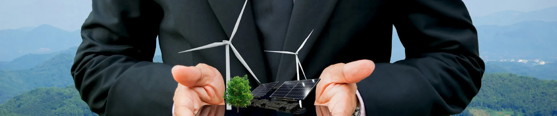Investors looking for sustainability and energy projects.