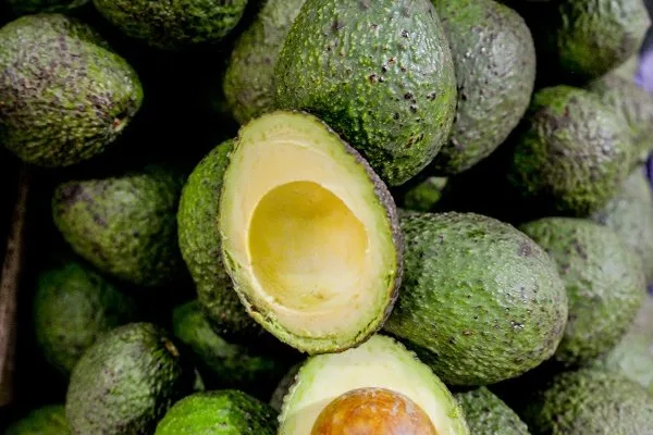 La empresa que sembrará 60 mil árboles de aguacate hass en Colombia en el 2019