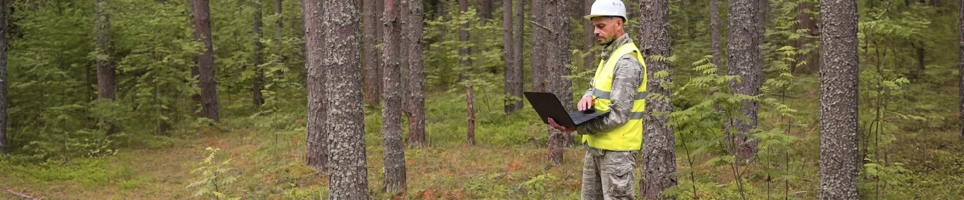 Worker doing a forestry valuation