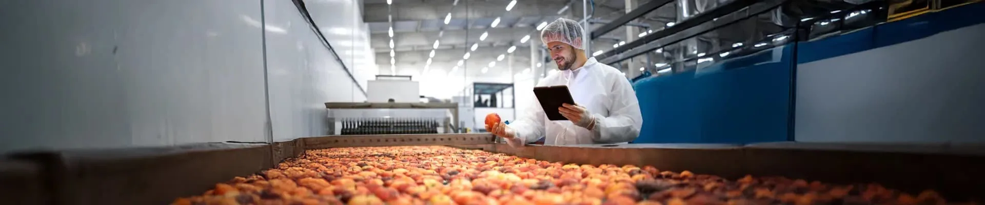 Worker doing a processed food product.