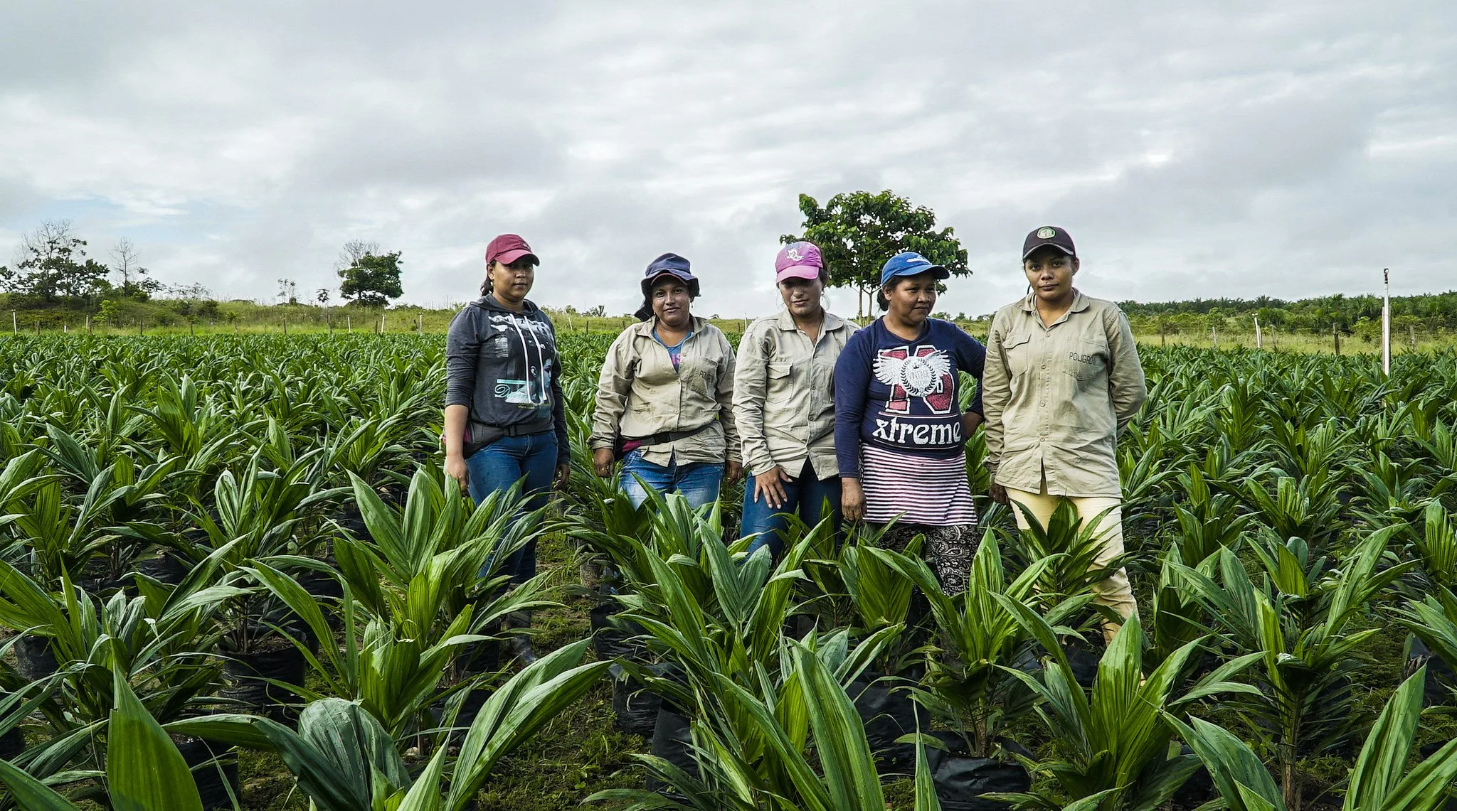 comunidad_mapiripan