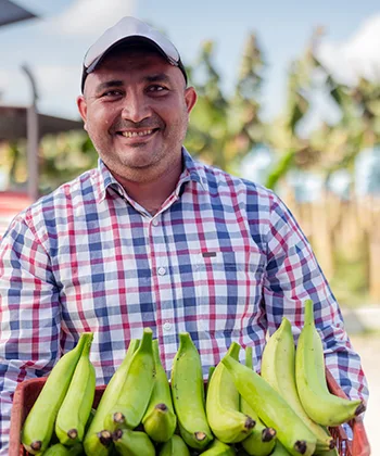 Platanos Colombianos