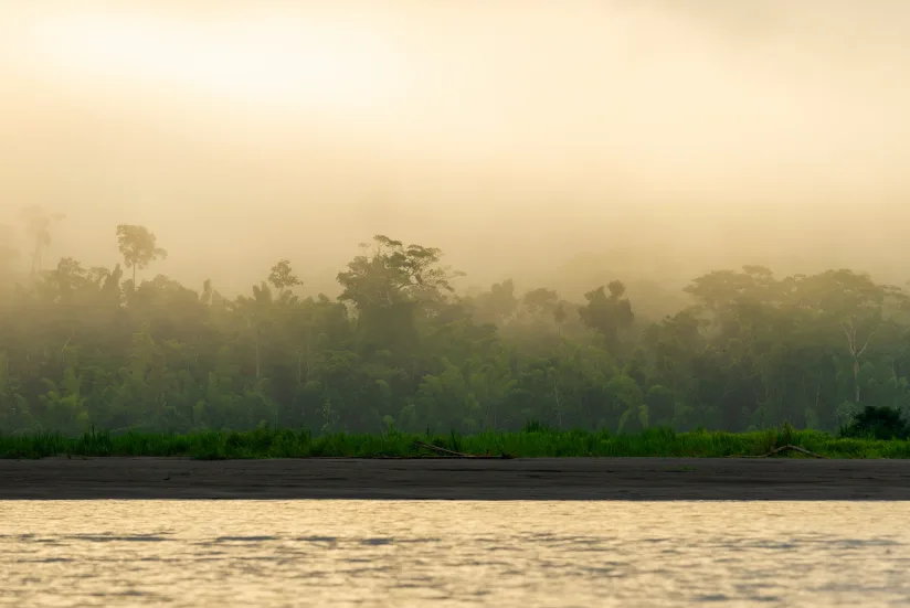 Amazonas River
