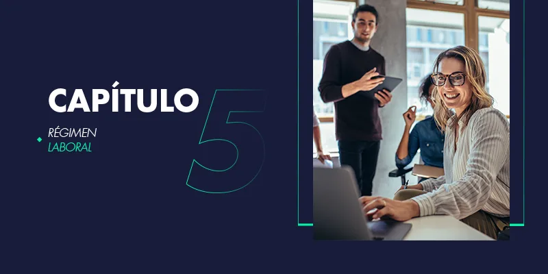 Guía Legal 5 Régimen laboral.