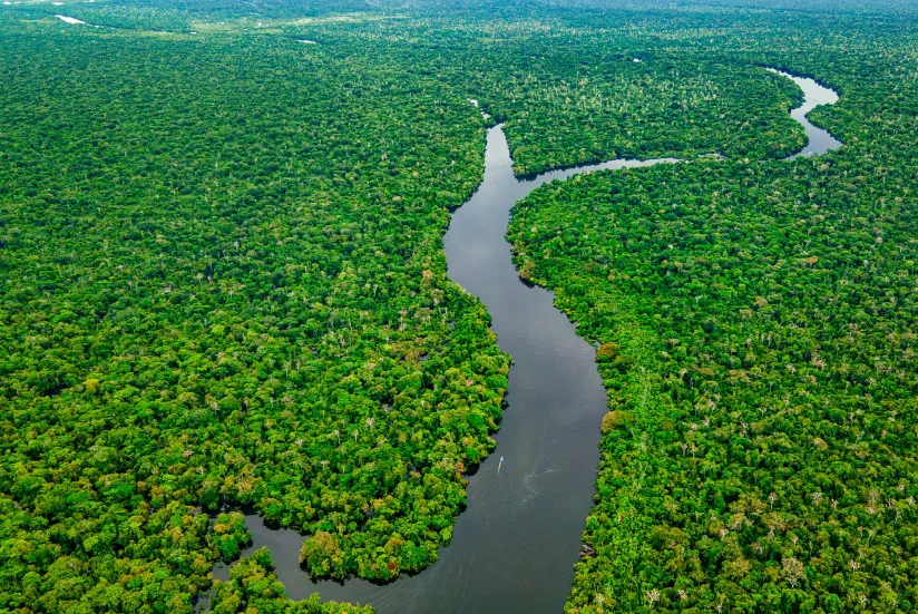 Biodiversity and natural resources in Amazonas river