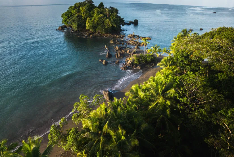 Biodiversity and natural resources in the Colombian Pacific.
