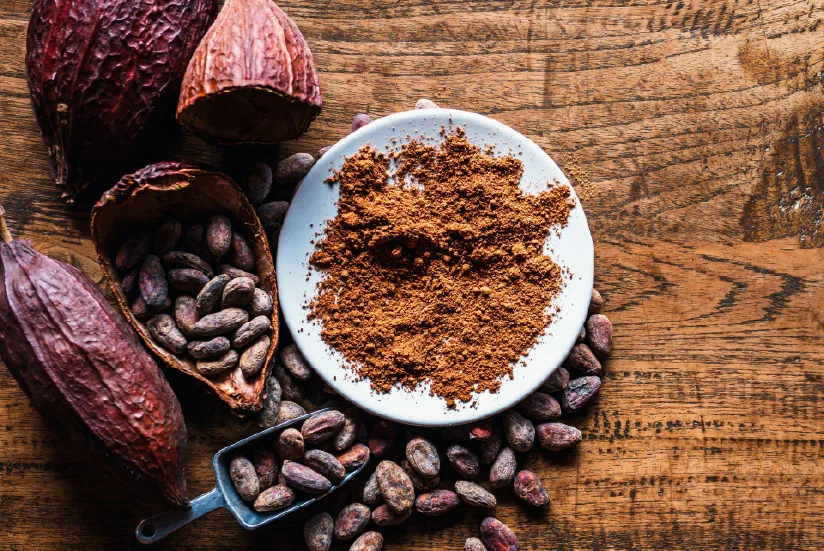 cocoa to make cocoa powder.