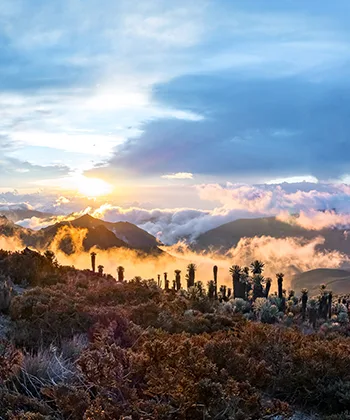 Desierto de la tatacoa, Colombia
