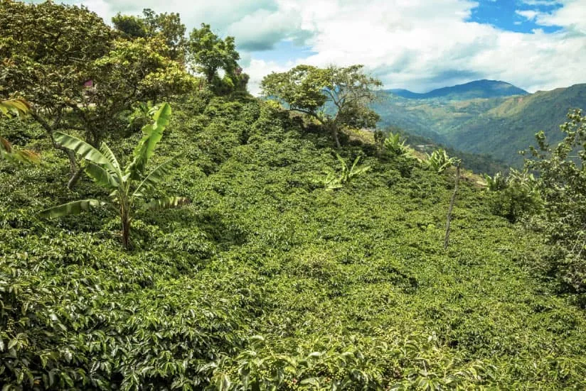 Farm with water-efficient agriculture