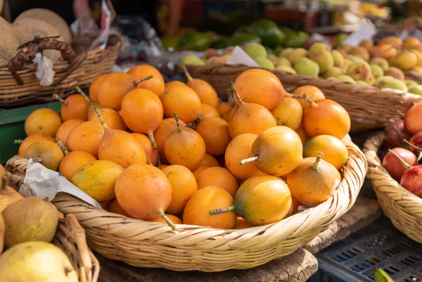 Fruits as biological resources in Colombia.