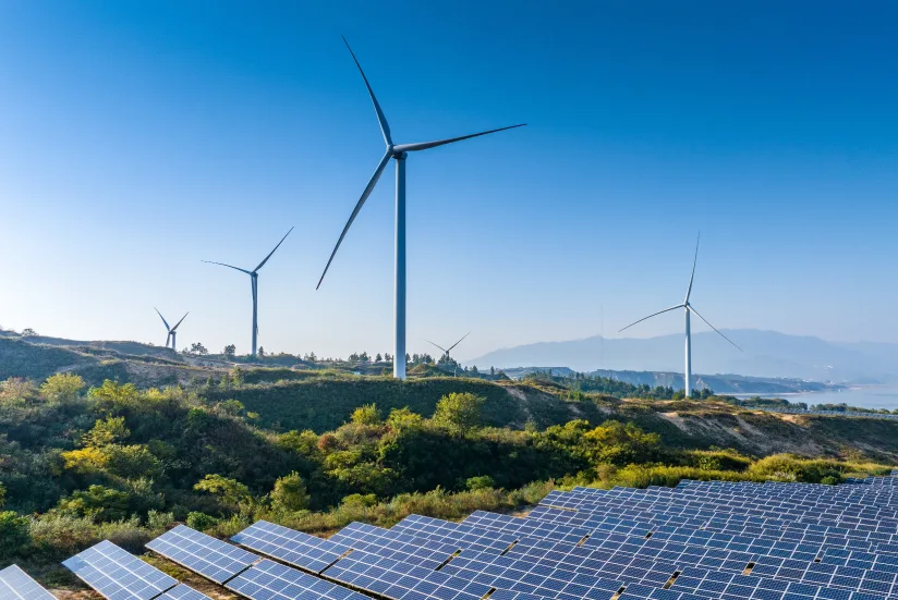 Infrastructure for acquire biological renewable resources.