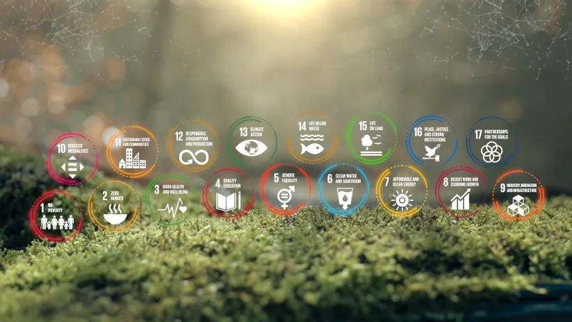 The UN’s 17 Sustainable Development Goals