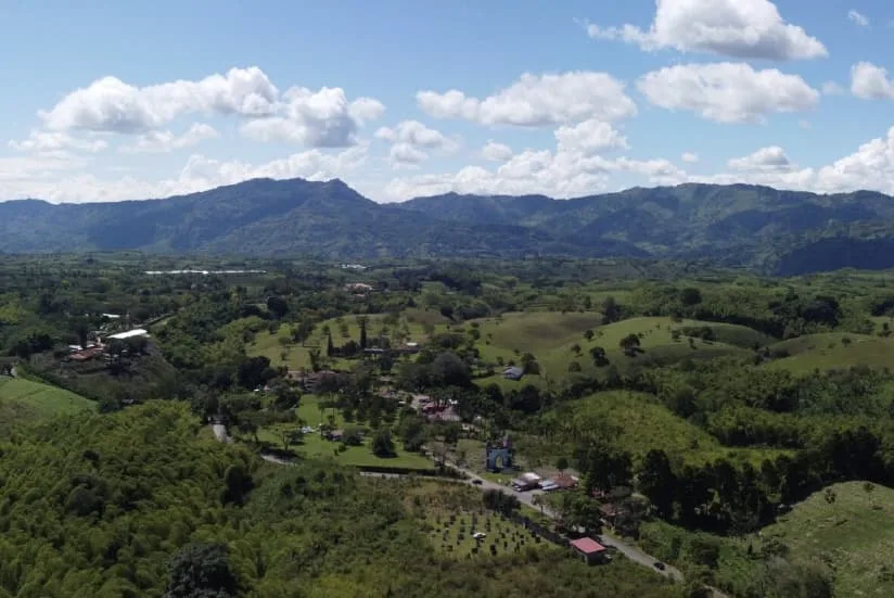 Land with a sustainable forest management